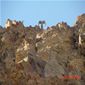 Bighorn sheep poses atop terrain at Afton canyon