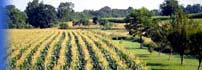 picture of indiana farm