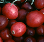 Cranberry