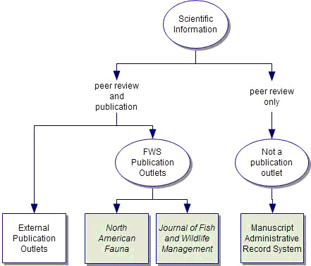 Figure 1. Service publication system (green end nodes), including the reliance on external publication outlets for a complete suite of scientific information sources.