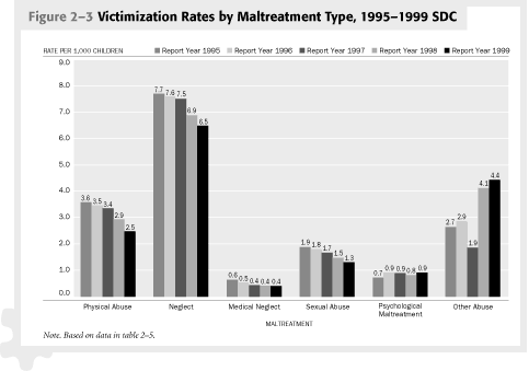 Figure 2-3 Victimization Rates by Maltreatment Type