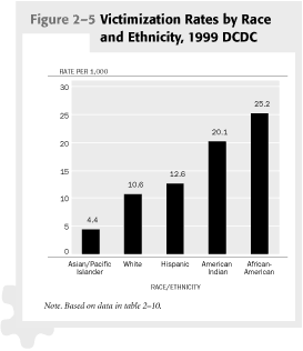 Figure 2-5 Victimization Rates by Race and Ethnicity