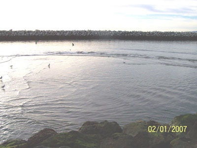 View 2 of Shaol Area on 1/2/07, 3PM (-1.5 ft tide) 