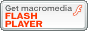 Flash Player icon