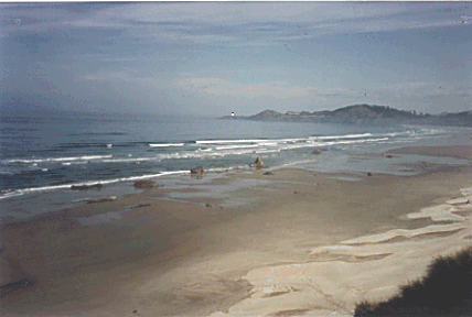 photo of seastack from 1990 