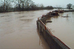 Flooding on the Wilson River, Tillamook County