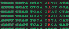 Field synopsis on genes and cancer susceptibility published 