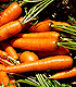 Bunch of carrots. Link to story.