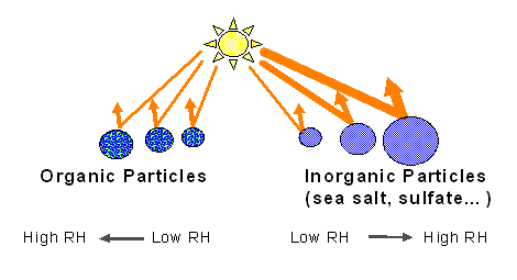 Comparison of light scattering by organic and inorganic particles