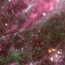 Stars in the Tarantula Nebula