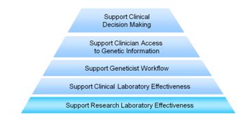 Figure 1: Pyramid process for IT support of Genetics
