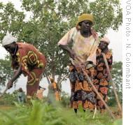 Women farm in Central African Republic 