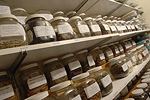 Rows of dried herbs line the shelves. © Bob Stockfield