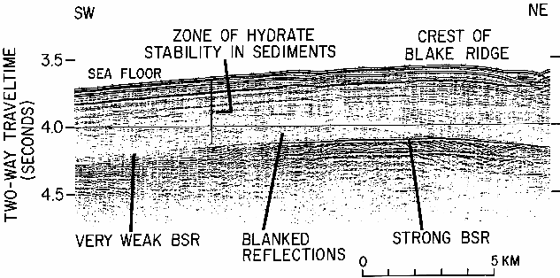 Interpreted Seismic Profile