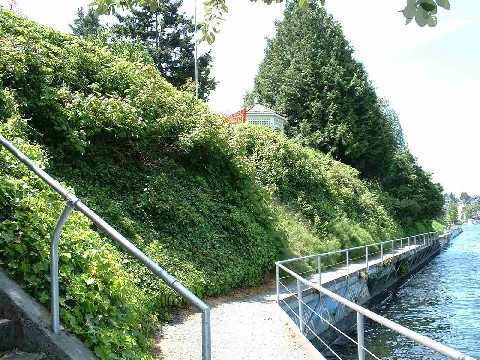 Army Corps to fix failing slope along Montlake Cut 