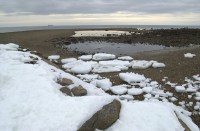 View of the Sandwich tide pool on the south side of the east entrance of the Cape Cod canal at low tide.