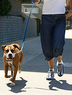 Do exercise and CAM use appear to be related? Copyright iStockphoto.com/joeygil