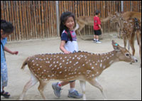 Photo: Children petting deer
