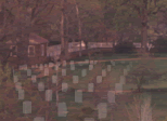 Gravestones of Culpeper National Cemetery