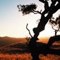 Sunset at Fort Ord