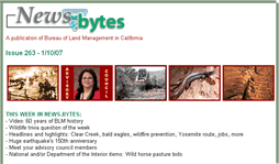 screen capture of part of a sample issue of News.bytes