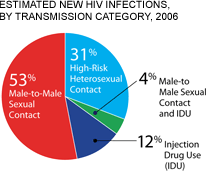 This pie chart shows the estimated new HIV infections in 2006 by transmission category. Male-to-male sexual contact accounted for 53 percent, high-risk heterosexual contact accounted for 31 percent, injection drug use accounted for 12 percent and cases that were both male-to-male sexual contact and injection drug use accounted for 4 percent of the estimated new HIV infections in 2006.