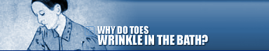 Why Do Toes Wrinkle In The Bath?