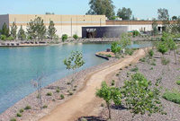 The Rio Salado was once a contaminated and trash strewn area. Today it is a self-sustaining natural habitat that provides recreation for residents and a home for desert wildlife. (USACE photo by Jay Field)