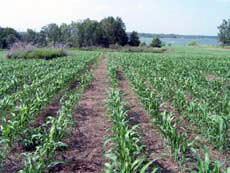 Photo of Agriculture Lease Area