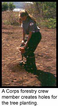 A photo of a women digging a hole.