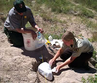 A volunteer playing with a rock!!!