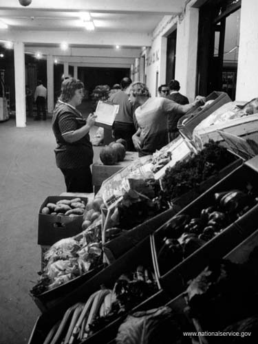 Discussing plans for the Sunshine Co-op in Miami, Florida, in April 1974,  are VISTA volunteers Greg Mathes, 24, and Deborah Matthews, also 24.  Originally harboring just a few families, the co-op now has more than 300 members.  