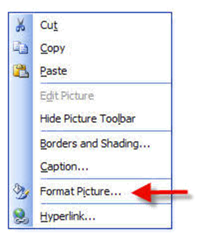 The Formatting menu with a red arrow pointing to the Format Picture selection.