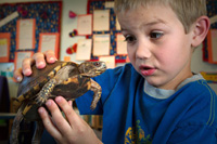 boy with turtle