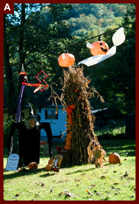 House in Horse Creek decorated for Halloween. 1996