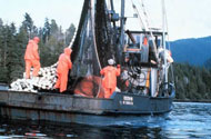 Small commercial fishing vessel