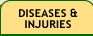 Diseases & Injuries