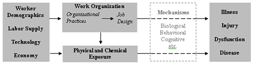 graph of causal pathways between work organization and worker safety and health