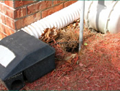 Photo: pest trap on the ground outside, with  tubiing leading to a small drum shaped container.