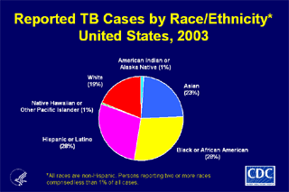 Slide 9: Reported TB Cases by Race/Ethnicity, United States, 2003. Click here for larger image