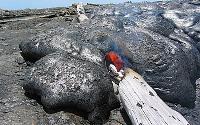 Log burned by lava, with incandescent mold, Mother's Day flow, Kilauea volcano, Hawai'i