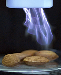 Photo: Cold plasma treatment of almonds.