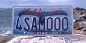 Picture of WHALE TAIL License plate