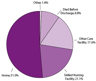 Pie chart showing percentage of stroke hospitalizations, by discharge status for Medicare beneficiaries ages 65 and older, 1995-2002: Home: 51.09%, Skilled nursing facility: 21.1%, Other care facility: 17.6%, Died before discharge: 8.8%, Other: 1.6%.