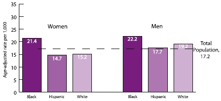 Chart showing age-adjusted stroke hospitalization rates (per 1,000), by gender and race/ethnicity for Medicare beneficiaries ages 65 and older, 1995-2002: Black women: 21.4, Hispanic women: 14.7, White women: 15.2, Black men: 22.2, Hispanic men: 17.7, White men: 19.2, Total population: 17.2.
