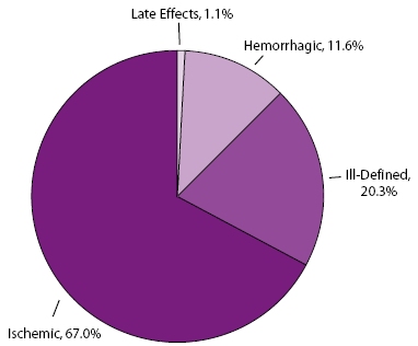 Pie chart showing the percentage of stroke hospitalizations, by stroke subtype, for Medicare beneficiaries ages 65 and older, 1995-2002. Ischemic: 67.0%, Ill-Defined: 20.3%, Hemorrhagic: 11.6%, Late Effects: 1.1%