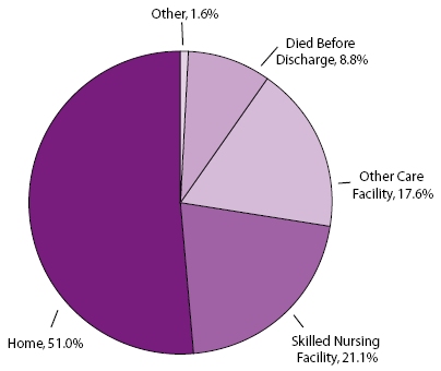 Pie chart showing the percentage of stroke hospitalizations, by discharge status, of Medicare beneficiaries ages 65 and older, 1995-2002. Home: 51.0%, Skilled Nursing Facility: 21.1%, Other Care Facility: 17.6%, Died Before Discharge: 8.8%, Other: 1.6%
