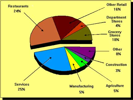 Figure 1. Types of jobs held by youths in 1990 - pie chart.
