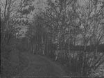 Eleven mile drive near Ishpeming, Michigan, 1898