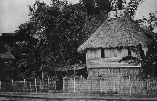 A hut in Luzon, Philippines